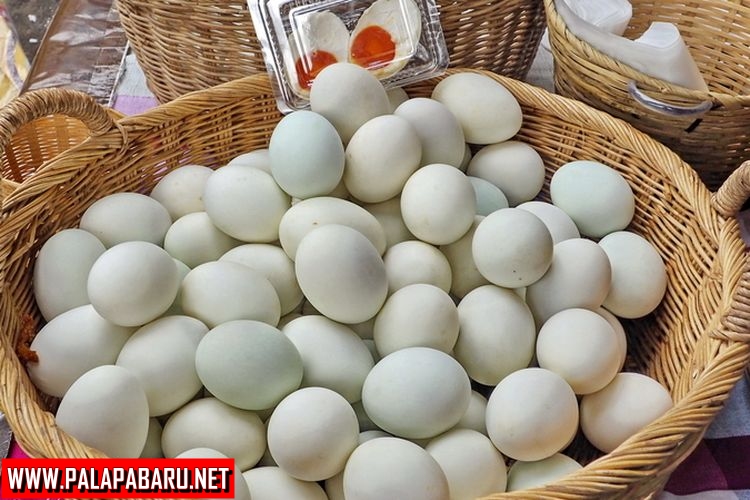 Manfaat dan Efek Samping Telur Bebek
