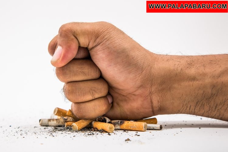 Tips Berhenti Merokok Sesuai Tipe Perokok