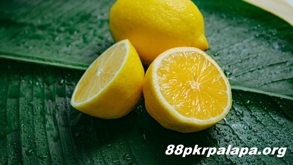 Manfaat Lemon untuk Kebutuhan Rumah Tangga Pengusir Serangga