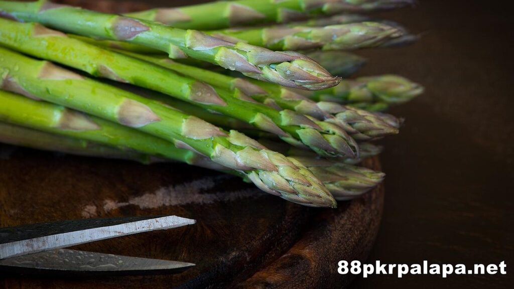 Manfaat Asparagus untuk Kesehatan Afrodisiak Alami yang Banyak Nutrisi