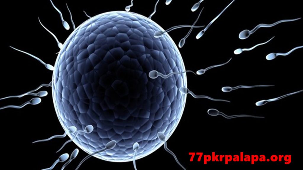 Sperma Sehat Sangat Penting Bagi Laki-Laki