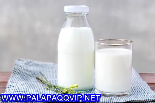 Konsumsi Susu di Indonesia Rendah, Susu Dianggap Makanan Mahal