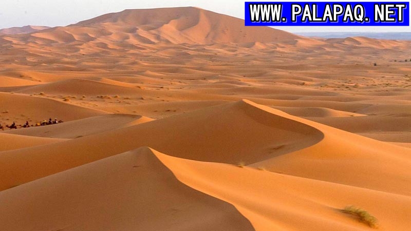 Tidak Hanya Dihuni Unta ini Fakta Gurun Sahara